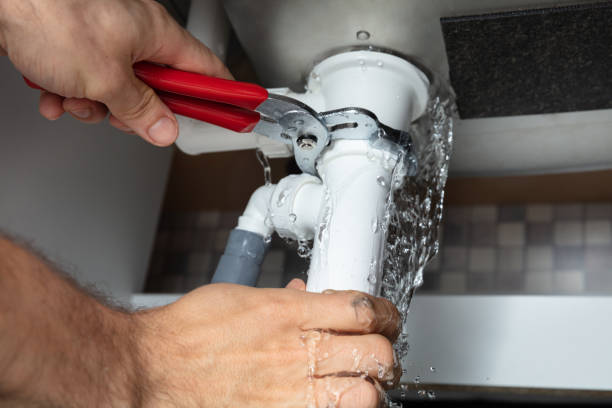Best Fire Damage Restoration  in Thornton, IL