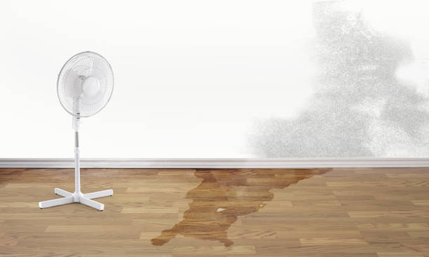 Best Flooded house restoration  in Thornton, IL