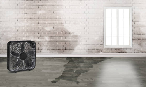 Sewage cleanup and water damage restoration in Thornton, IL