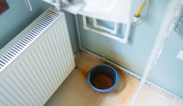 Best Water damage restoration near me  in Thornton, IL